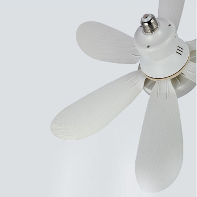 Ceiling Fans with Lights | Kalsten