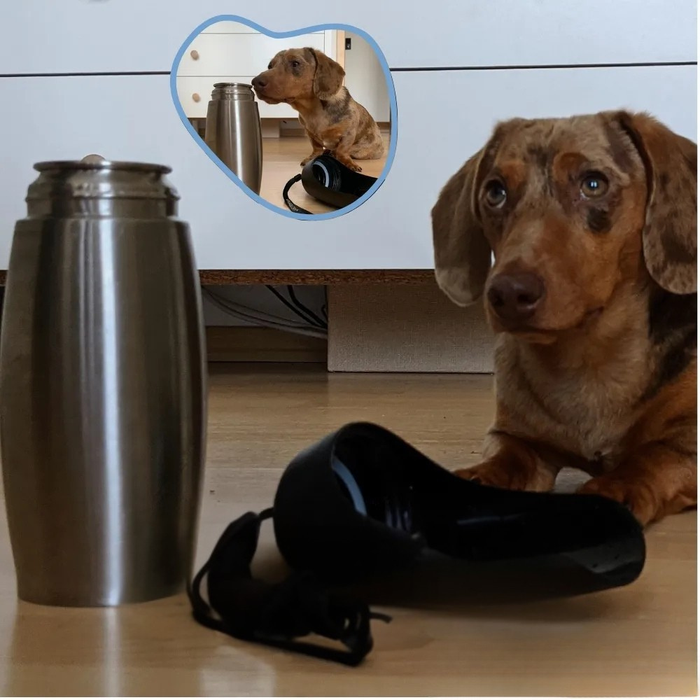 BowLift | Dog Water Bottle Stainless Steel Portable Travel Drinking Cup
