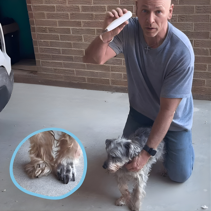 Silent Electric Dog Grooming Trimmer with LED Kalsten