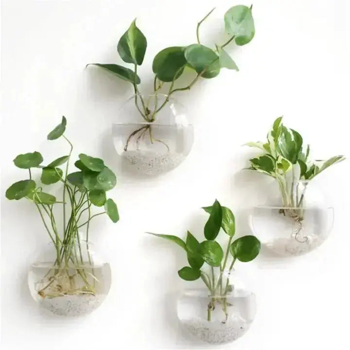 Kalsten | Elegant Glass Wall Vase – Minimalist Plant Holder