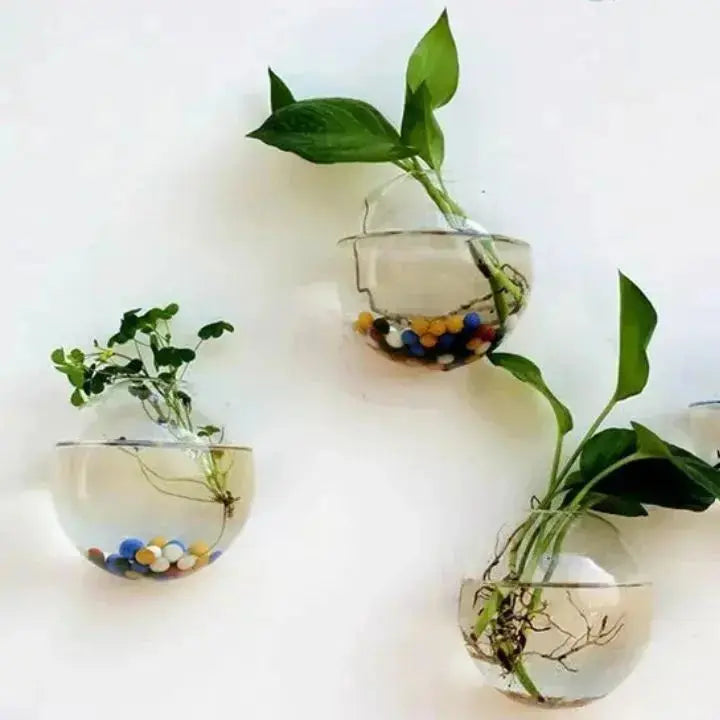 Kalsten | Elegant Glass Wall Vase – Minimalist Plant Holder