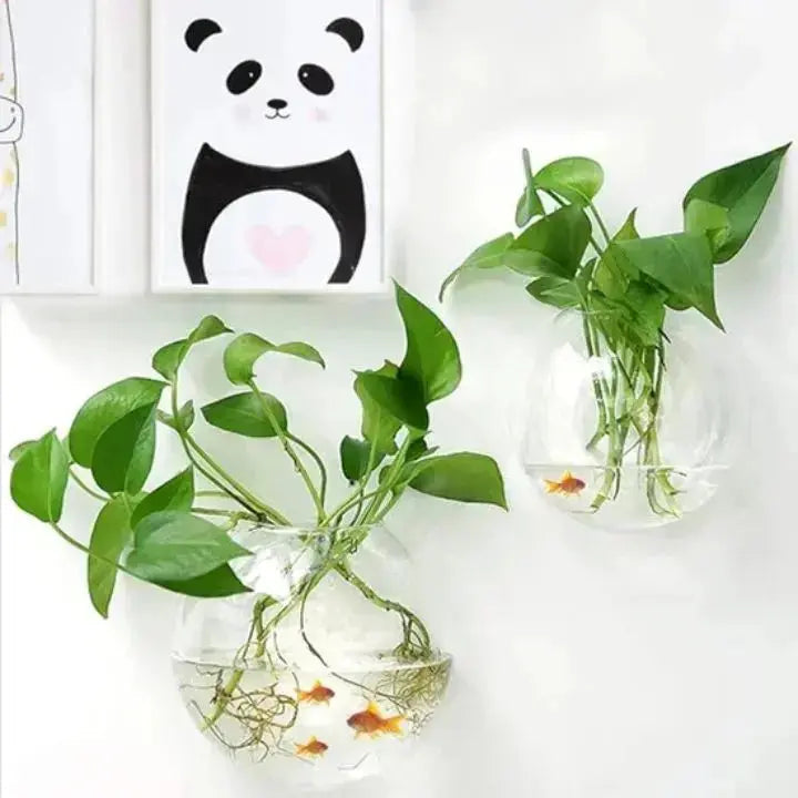 Kalsten | Elegant Glass Wall Vase – Minimalist Plant Holder