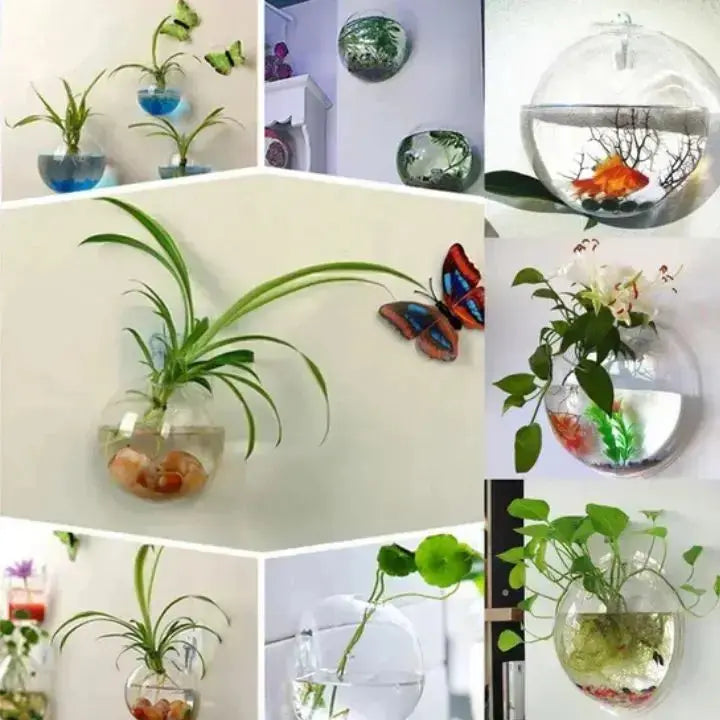 Kalsten | Elegant Glass Wall Vase – Minimalist Plant Holder