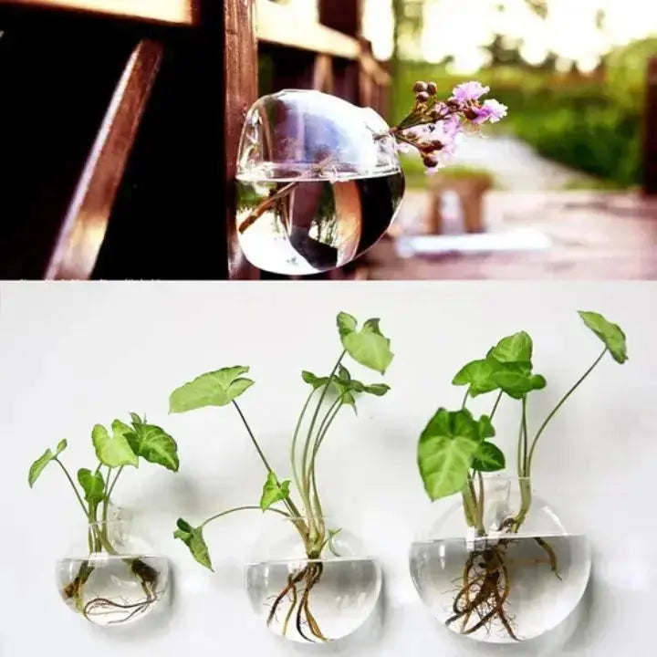 Kalsten | Elegant Glass Wall Vase – Minimalist Plant Holder