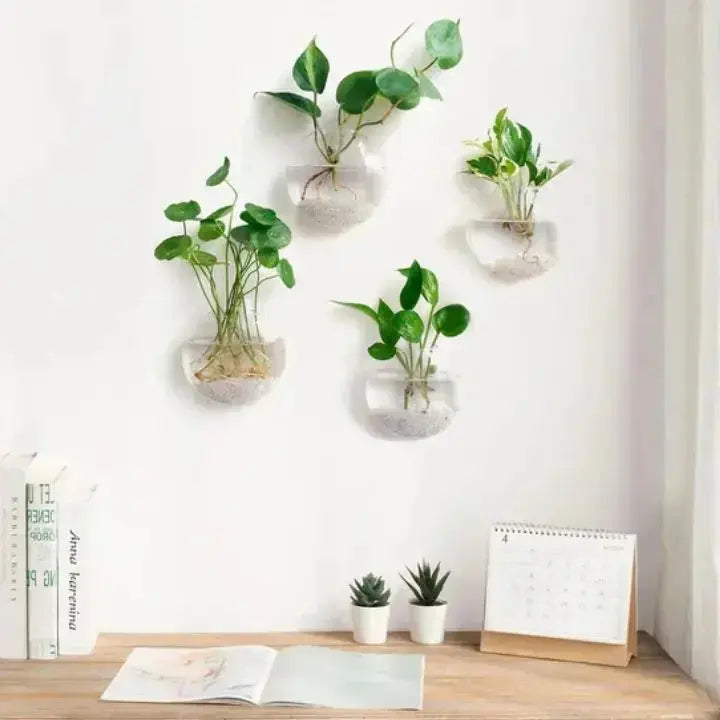 Kalsten | Elegant Glass Wall Vase – Minimalist Plant Holder