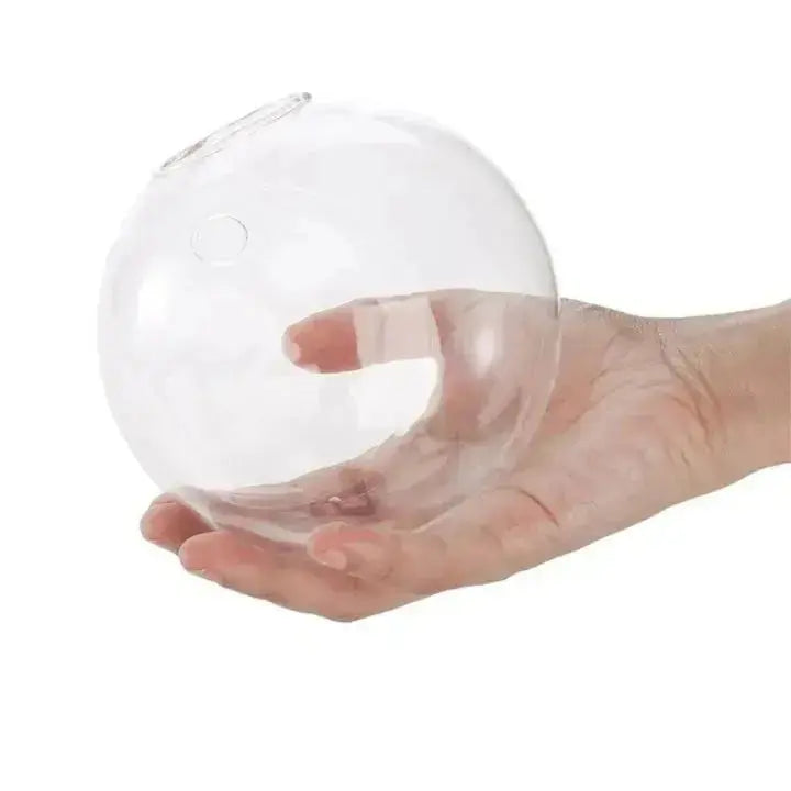 Kalsten | Elegant Glass Wall Vase – Minimalist Plant Holder
