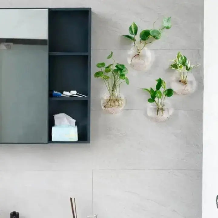 Kalsten | Elegant Glass Wall Vase – Minimalist Plant Holder