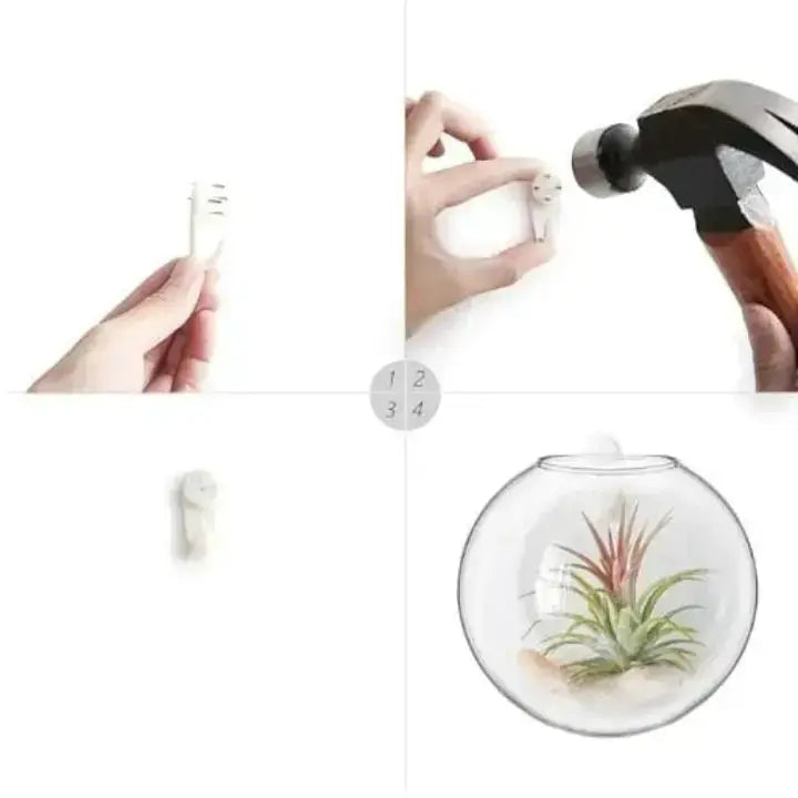 Kalsten | Elegant Glass Wall Vase – Minimalist Plant Holder