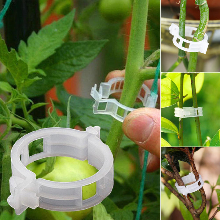 Practical Plant Support Clip | Kalsten