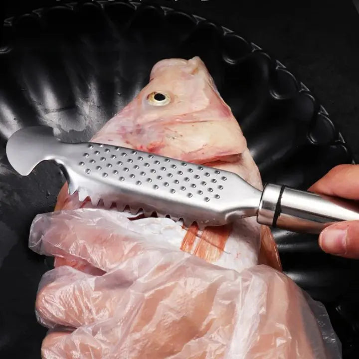 Kalsten | Fish scaler made of stainless steel
