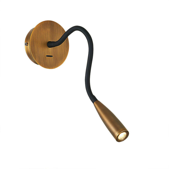 Flexi Hose Sconce Wall Light | Kalsten