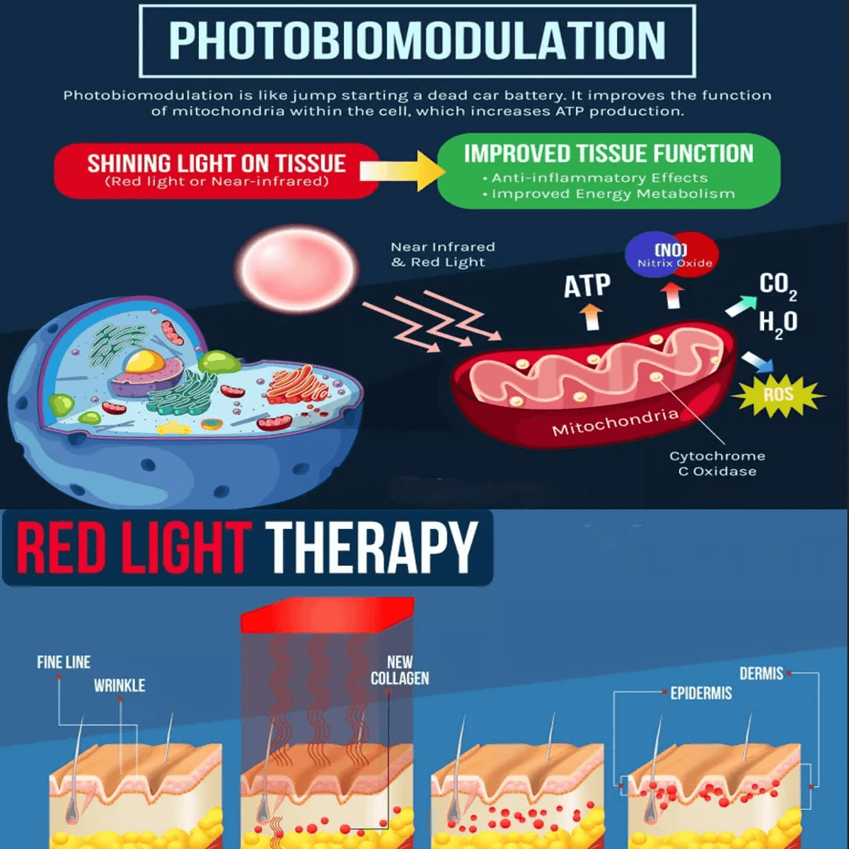 BowLift | Red and Blue Light Phototherapy Therapy