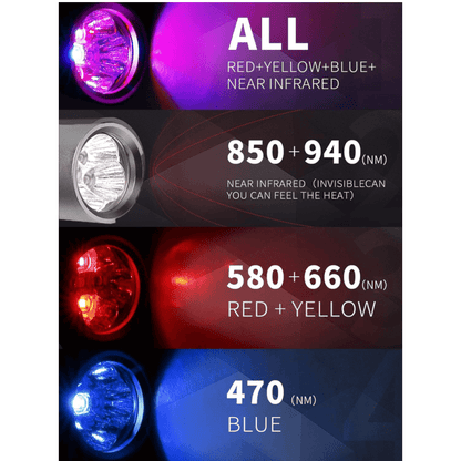 Skanto | Red and Blue Light Phototherapy Device