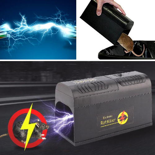 High-Power Electric Mouse Trap