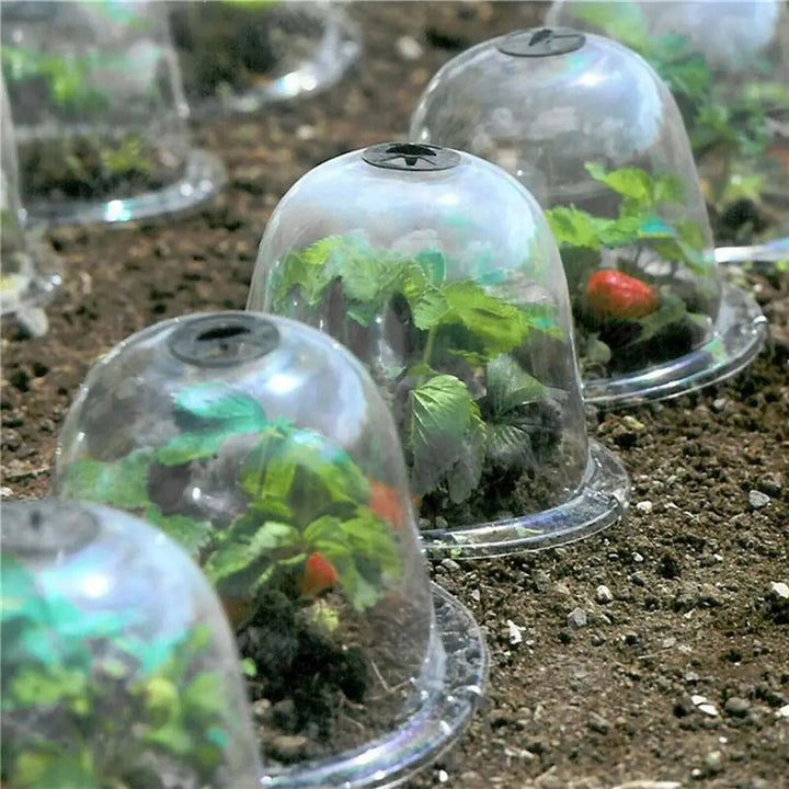 Frost Protection Clear Garden Plant Cover | Kalsten