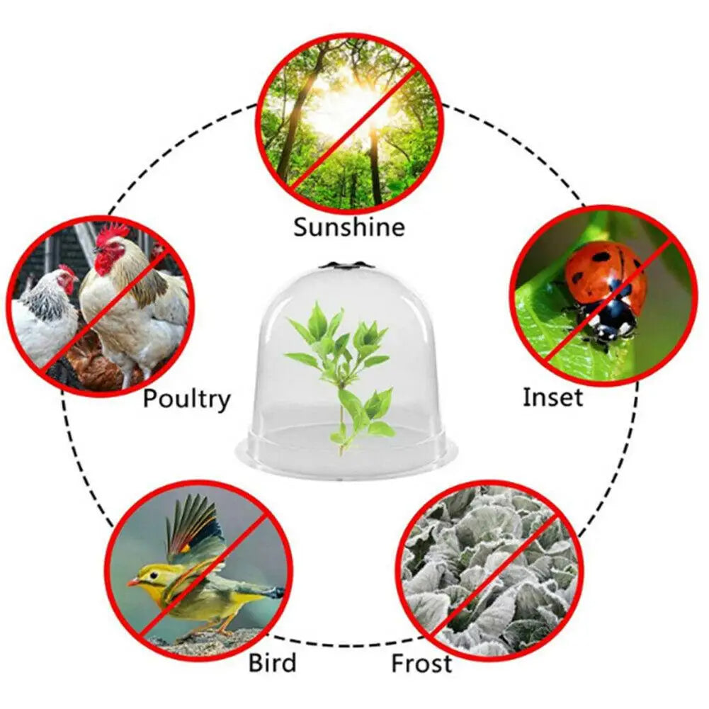 Frost Protection Clear Garden Plant Cover | Kalsten