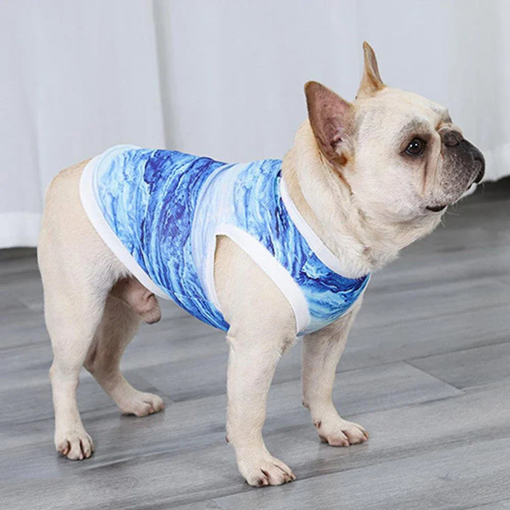FrostyPet Frenchie Summer Cooling Vest | Kalsten