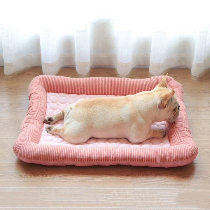 FurChill Frenchie Breathable Dog Bed – Cooling Mat with Non-Slip Base for Hot Days | Kalsten
