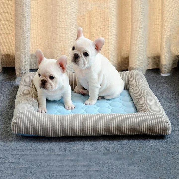 FurChill Frenchie Breathable Dog Bed – Cooling Mat with Non-Slip Base for Hot Days | Kalsten