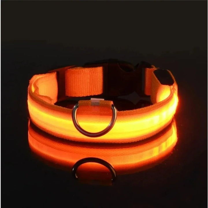 Kalsten | LED Safety Dog Collar with Adjustable Fit
