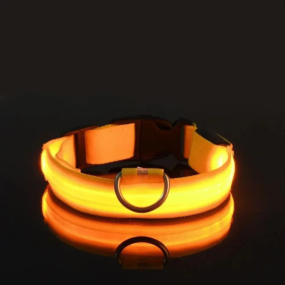 Kalsten | LED Safety Dog Collar with Adjustable Fit