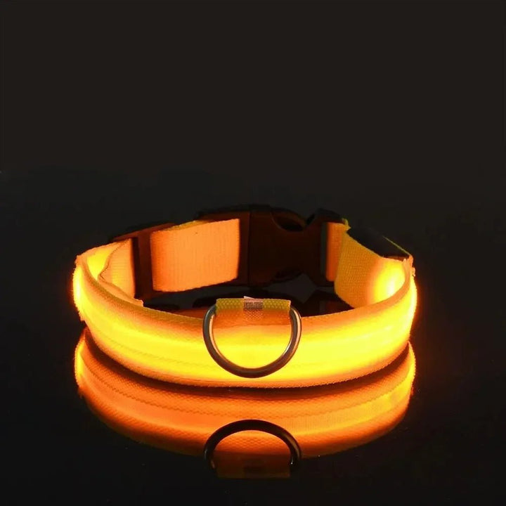 Kalsten | LED Safety Dog Collar with Adjustable Fit