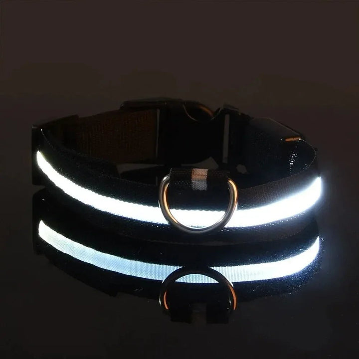 Kalsten | LED Safety Dog Collar with Adjustable Fit
