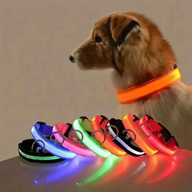 Kalsten | LED Safety Dog Collar with Adjustable Fit