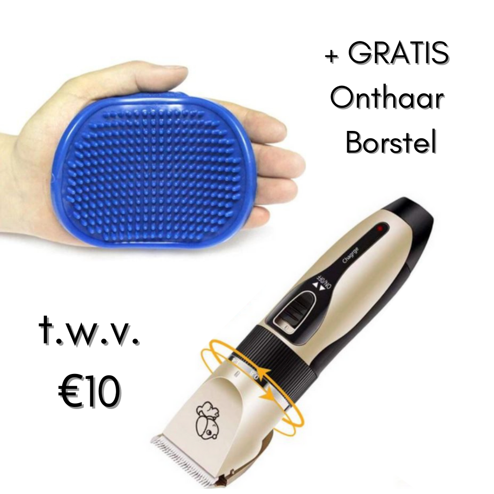 Professional Dog Groomer + Brush Skanto