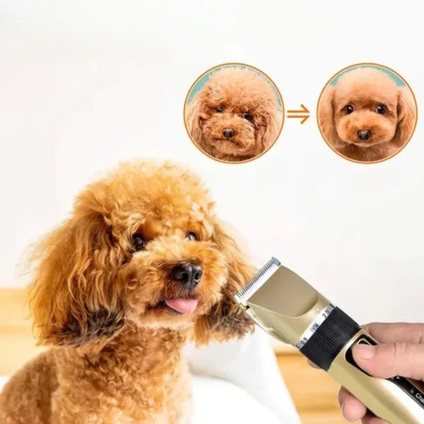 Silent Coat Trimmer set for dogs Kalsten