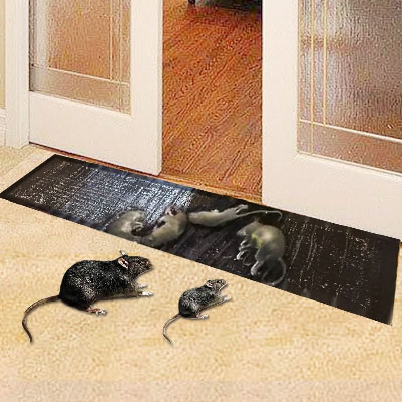 Skanto | Large Non-Toxic Glue Trap for Effective Pest Control
