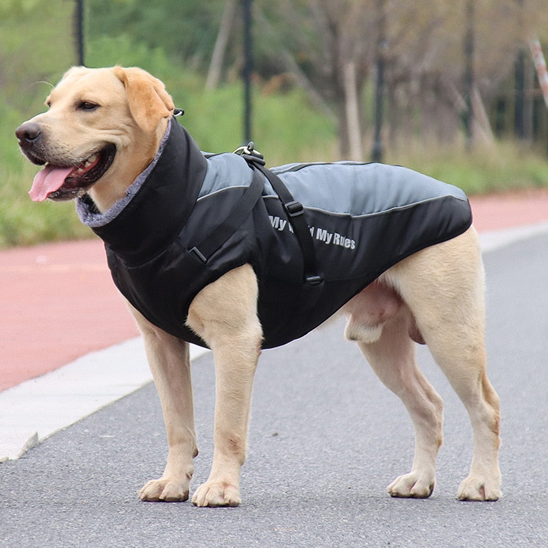 Kalsten | Waterproof Winter Dog Jackets