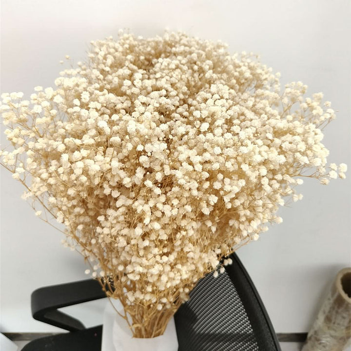 Kalsten | Dried Preserved Gypsophila Flower Bouquet – Natural Decor