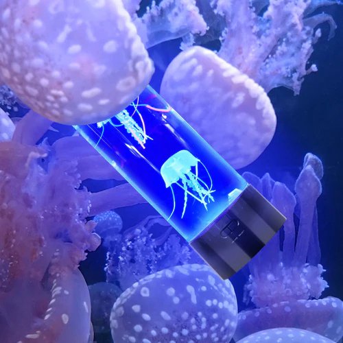 Kalsten | LED-Jellyfish-Aquarium-Table-Nightlight