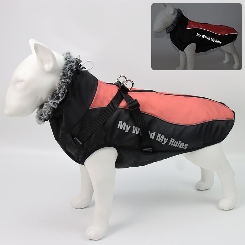 Kalsten | Waterproof Winter Dog Jackets