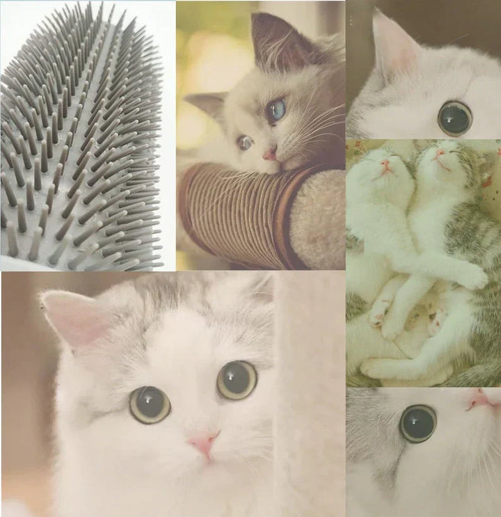 Self-Grooming Cat Corner Brush – FurRelaxer Kalsten