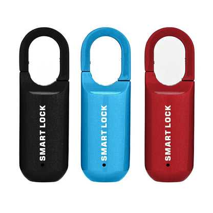 Brehn | Mini Guard Smart Touch Anti-theft Lock