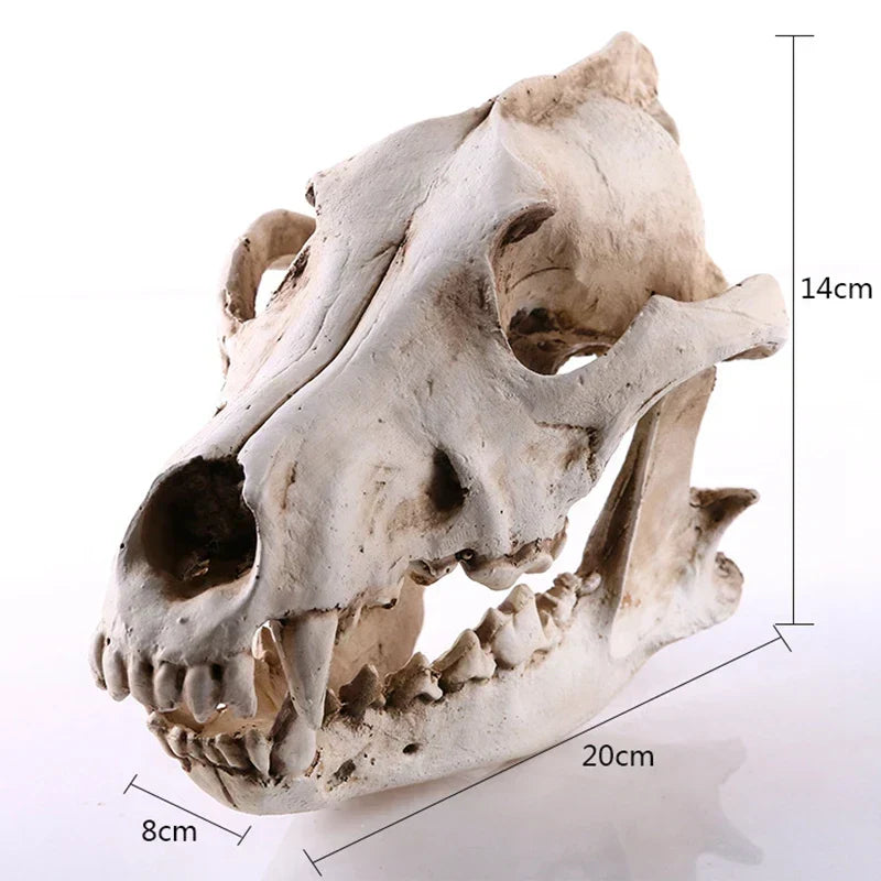 BowLift | Wolf Skull Sculpture Model