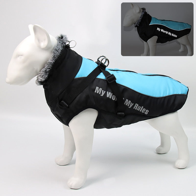 Kalsten | Waterproof Winter Dog Jackets