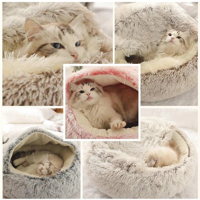 KittyCove Ultimate Comfort for Your Cat | Kalsten