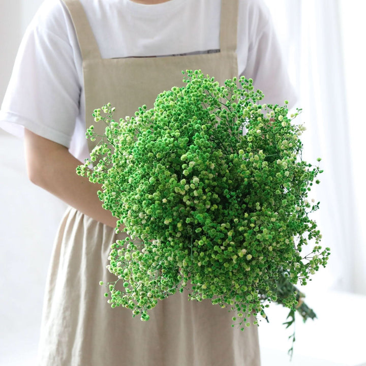 Kalsten | Dried Preserved Gypsophila Flower Bouquet – Natural Decor