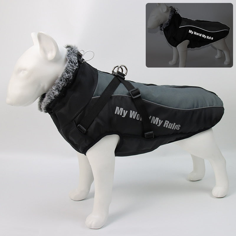 Kalsten | Waterproof Winter Dog Jackets