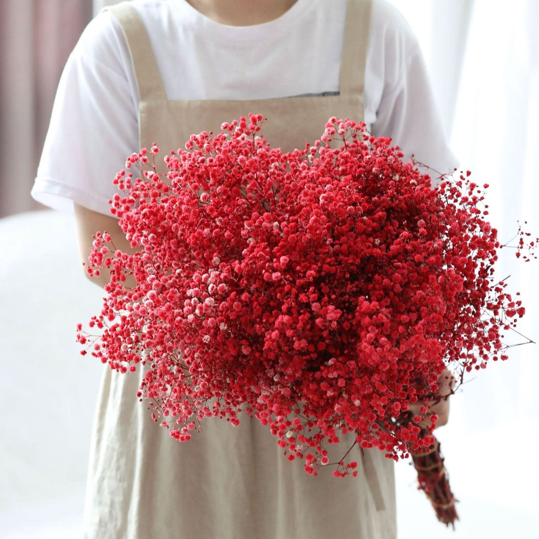 Kalsten | Dried Preserved Gypsophila Flower Bouquet – Natural Decor