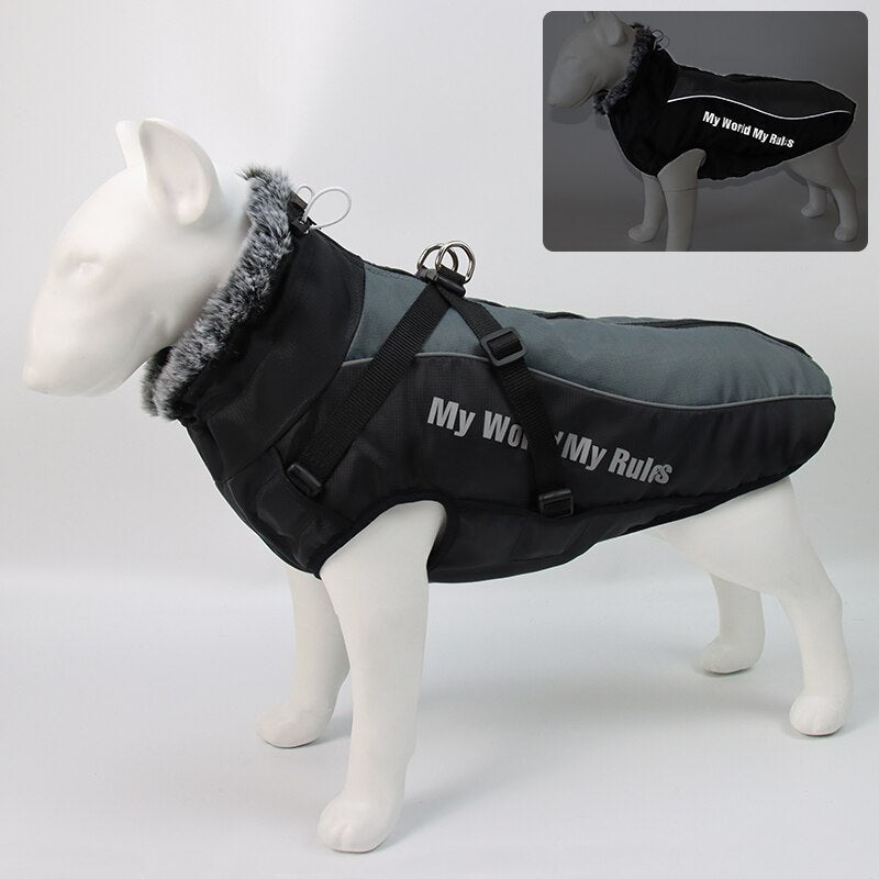 Kalsten | Waterproof Winter Dog Jackets