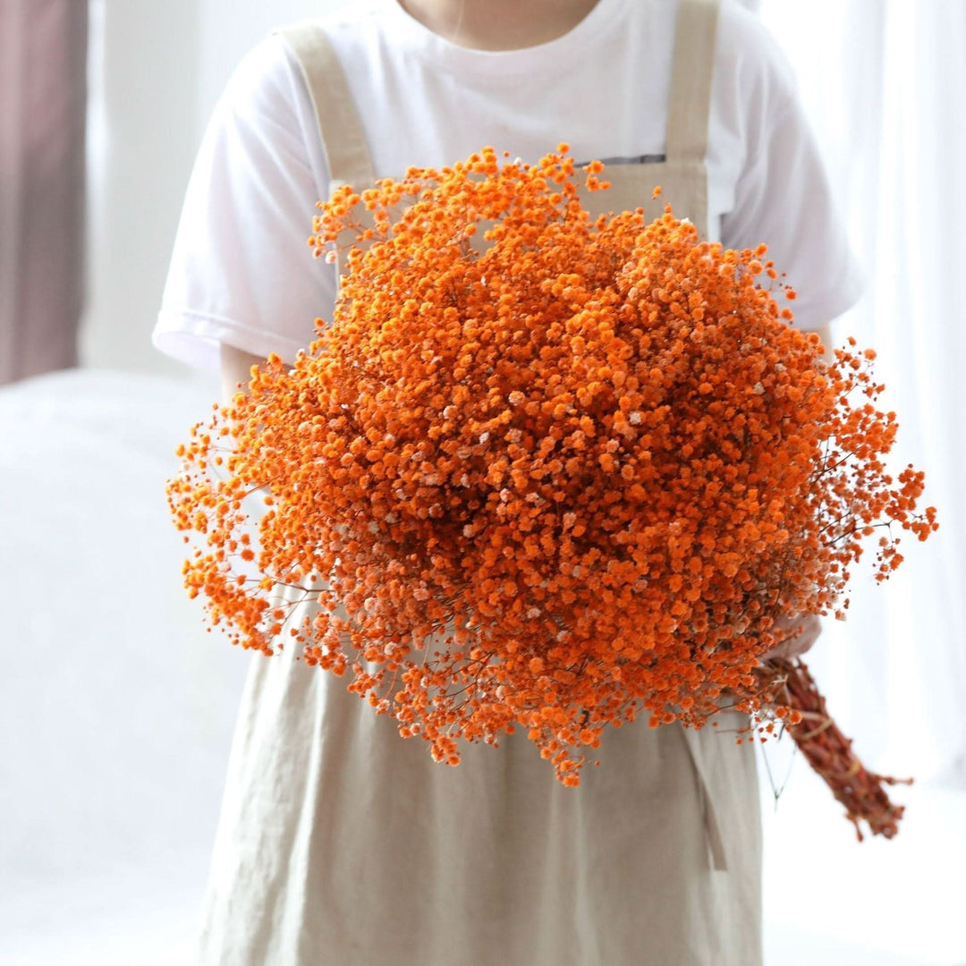 Kalsten | Dried Preserved Gypsophila Flower Bouquet – Natural Decor