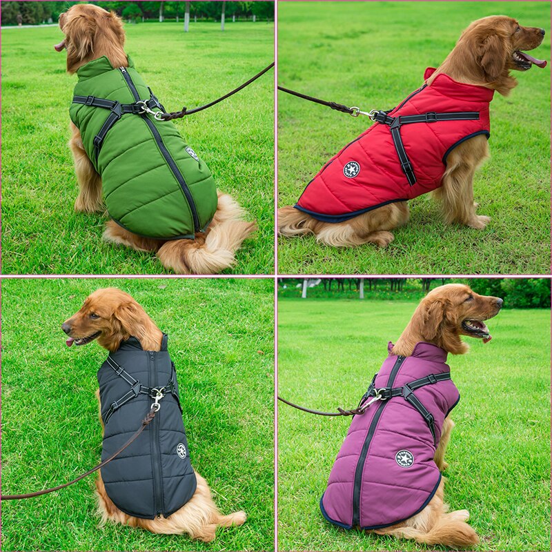 Skanto | Stylish and Warm Jacket for Winter Hikes