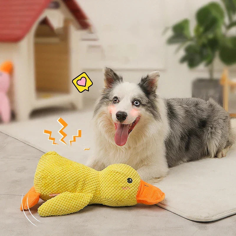 Kalsten | Calming duck for dogs
