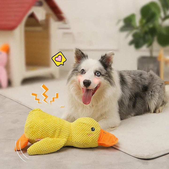 Kalsten | Calming duck for dogs