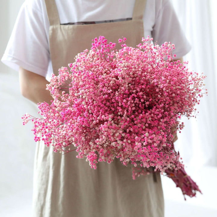 Kalsten | Dried Preserved Gypsophila Flower Bouquet – Natural Decor