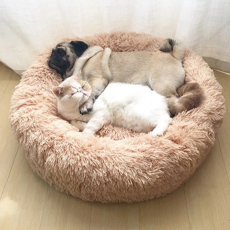 Pet Donut Sofa - Let your pet enjoy comfort 🐾 Kalsten